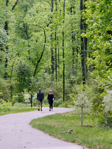 Two people walking on a greenway surrounded by trees