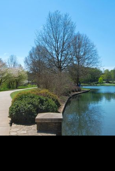 Person running on path near the lake at Freedom Park